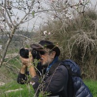 Yossi Tamir