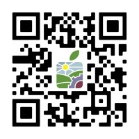 BC Fruit Works Connecting Growers and Branch Hands