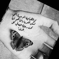 Alaa Fadi