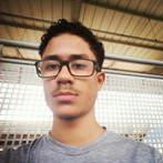 Pedro Emanuel Avelar Sousa de Almeida