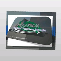 Everton Moreira da Silva