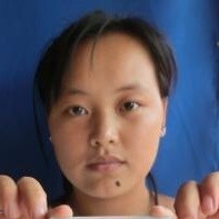 刘发凤