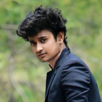 Animesh Ray