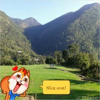 anand singn negi
