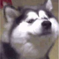 徐xx