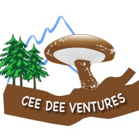 CEE DEE