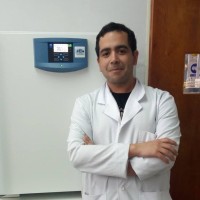 Jorge Vicencio Arancibia