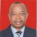 Professor Monday Osemeke