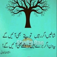 Yousuf Limbada