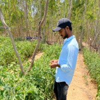 Sreekanth P