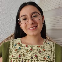 Ilse Rojas Nava
