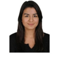 Hande Demiral