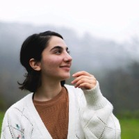 fatemeh safary