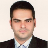 Amir Mobasheri