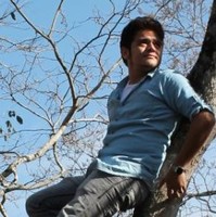 luis fernando cruz pacheco