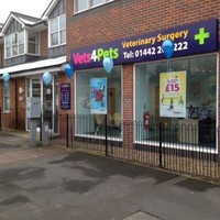 Vetsforpets Hempstead
