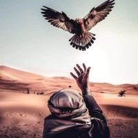 Naser Elsayed