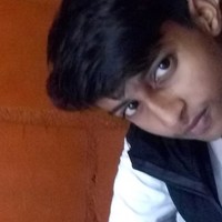 Havin Havi