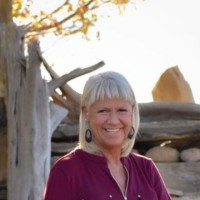 Sue Krogmeier