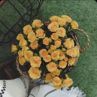 هيام الدوسري