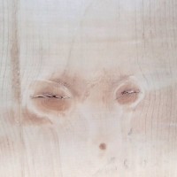 林诗如
