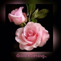 Amit Thakur
