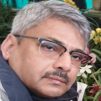 Harsh Rastogi