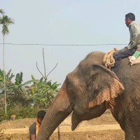 Swapon Mondal