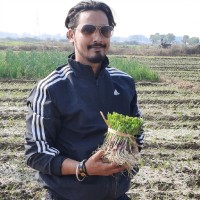 Vishnuchit Anand