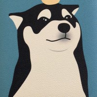 张世宸