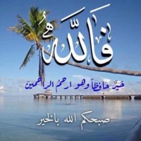 محمد الحمد