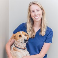 Alyssa Reed Lvt, Mba