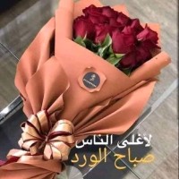 Samy Mohamed