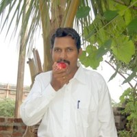 Prabhakar Annam