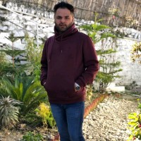 Himanshu Pahwa