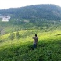 D Mohan