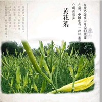 雷春香