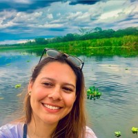 Letícia Koutchin Reis