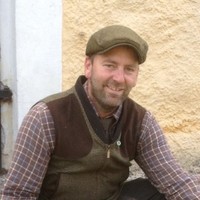 Tomas Wijk