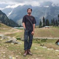 Roshan Malik