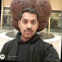 Souvik Bhowmik