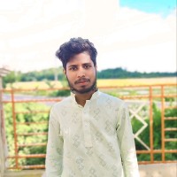 Saidul Parvez