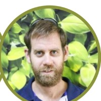 נדב רז