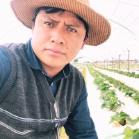 Manuel Lopez Diaz