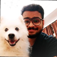 Ayush kikani