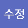 김수정