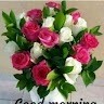aru s gowda