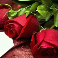Bappa Sarkar