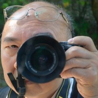 Steven Chui