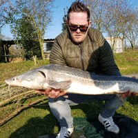 Jarco Hulst